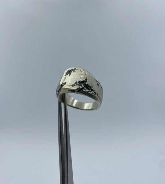 EROSION signet