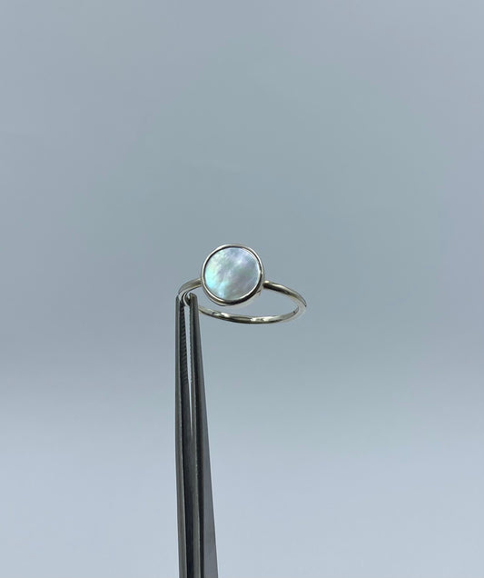 Gem Ring - Muszla Srebrny